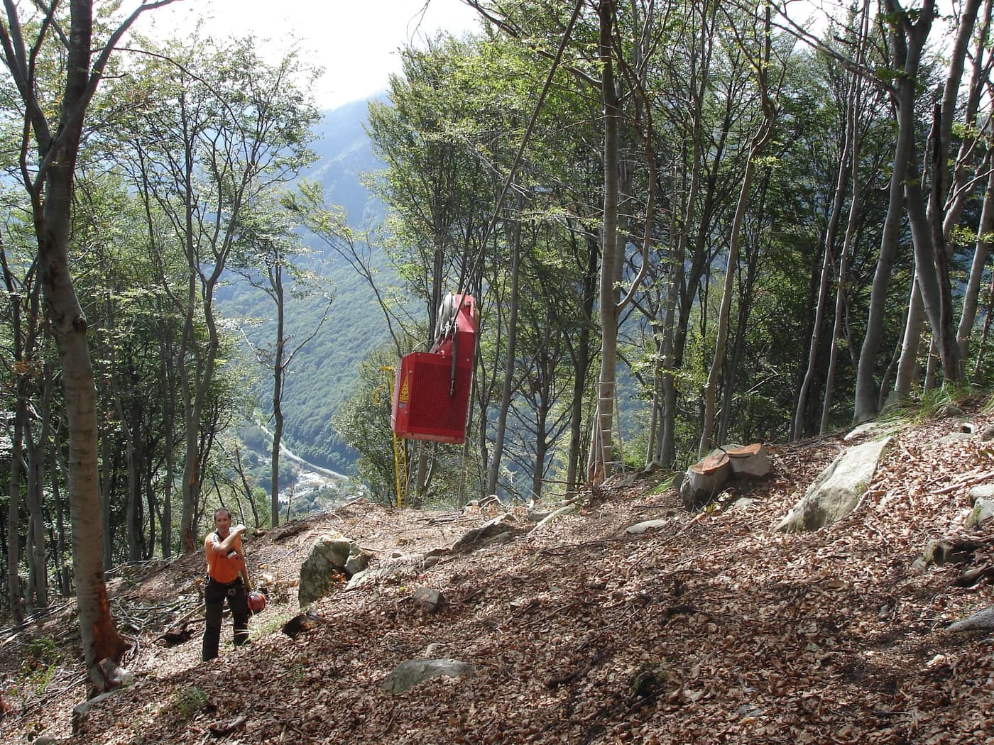 Operazioni nel bosco