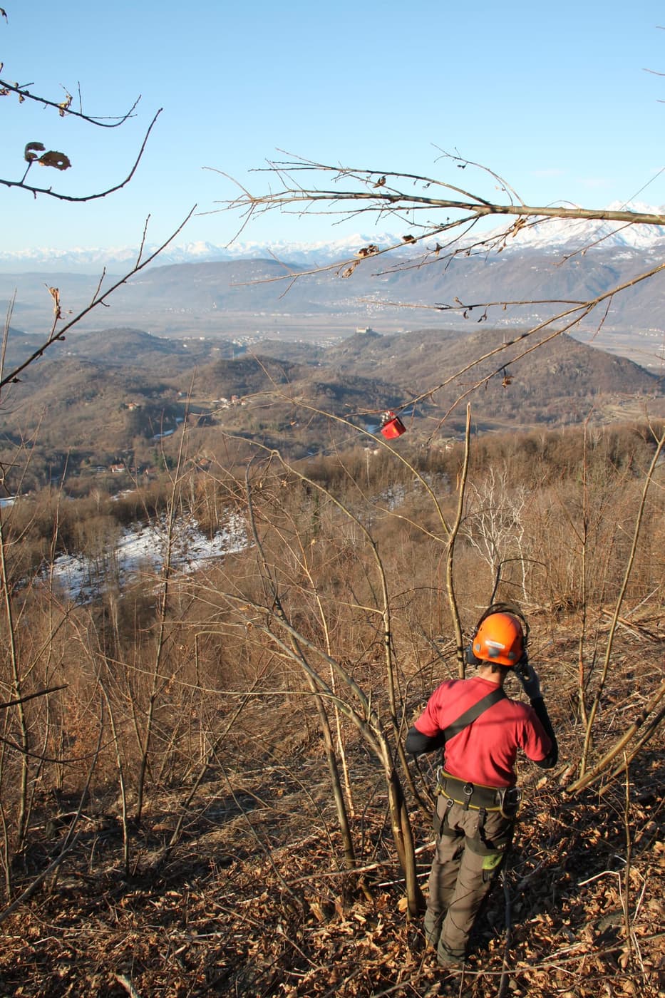 Macchina per la gestione del bosco