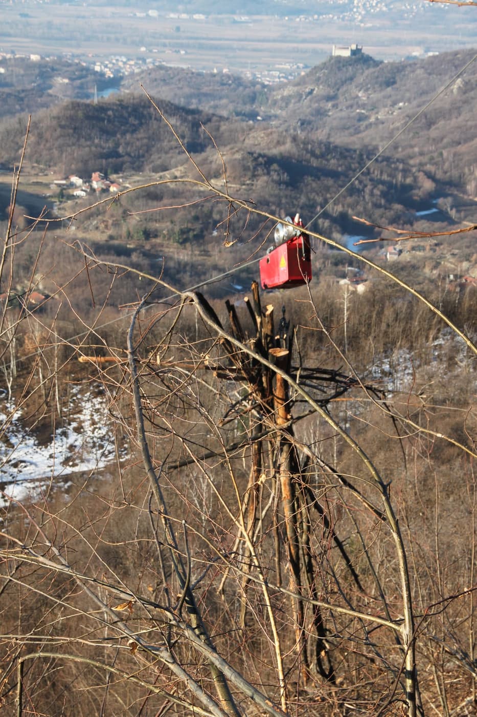 Intervento forestale meccanizzato